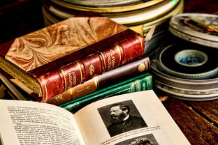 法律日常小知识大全，公民权利与义务的法律指南