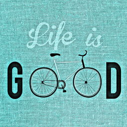 法律之光，热点法律问题的心得体会与感悟