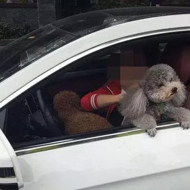 法律信息查询，获取法律知识的有效途径