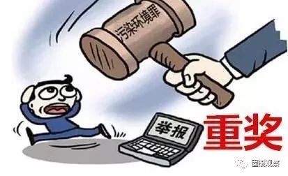 最聪明的举报方式，保护自身安全与促进社会正义