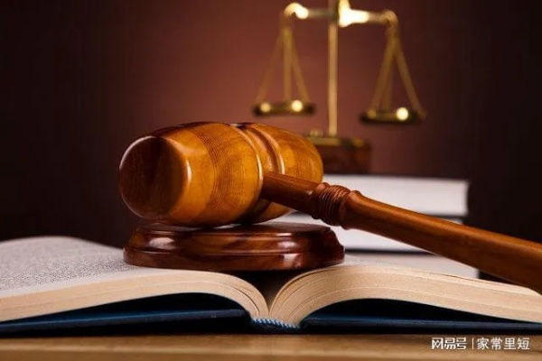 热点法律问题感悟，法律的边界与社会的温度