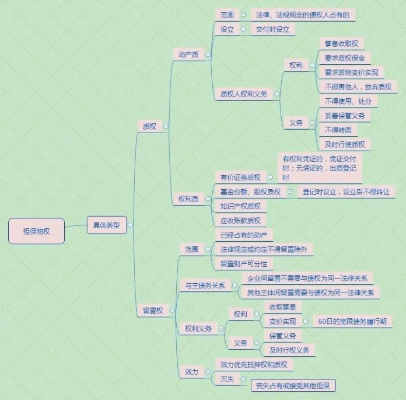 构建法律知识树，思维导图在法律学习中的应用